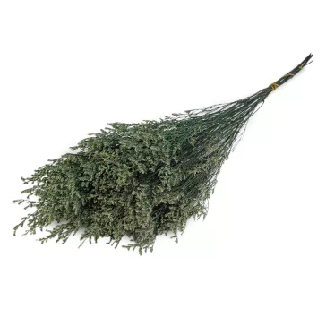 Stabilizált sóvirág csokor - 3 zöld (4 bunch)