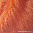 Orange long-pile faux fur ID-220