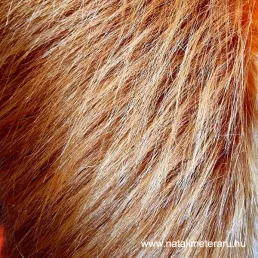 Terrakotta hosszú szálú műszőrme csík  20cm x 148 cm