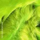 Grincs zöld középhosszú szálú műszőrme